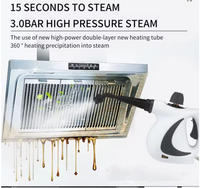 High-Pressure Steam Cleaner